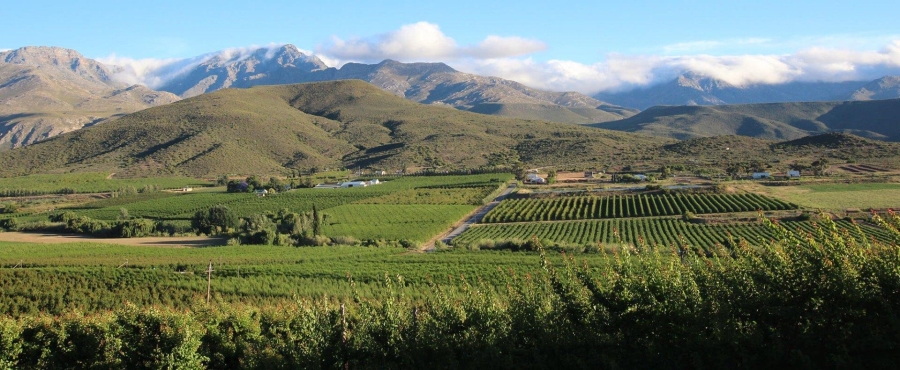 Commercial Property for Sale in Ladismith Rural Western Cape